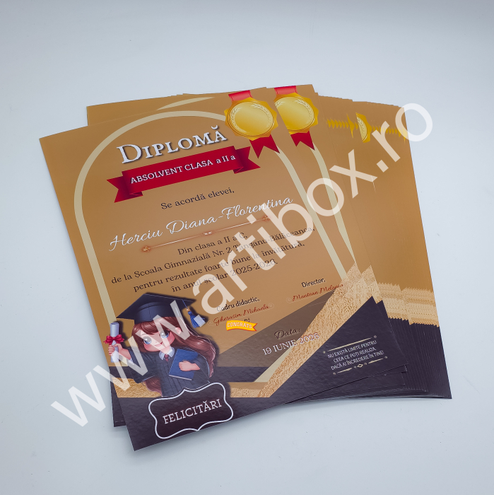Diploma Scolara Eleva - personalizata cu text pentru scoala/gradinita [2]