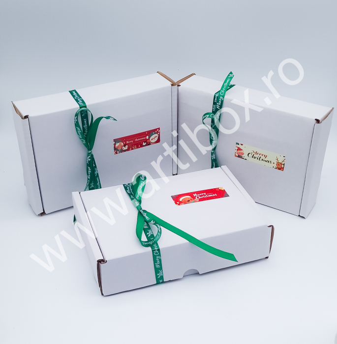 Ingerasi din ipsos pentru pictat - acuarele incluse [2]