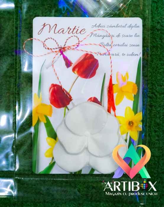 Martisoare creatie - din ipsos + felicitare si snur alb-rosu [6]