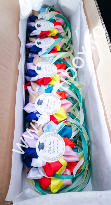 Cocarde personalizate pentru festivitate cresa/gradinita - Model Multicolor [12]