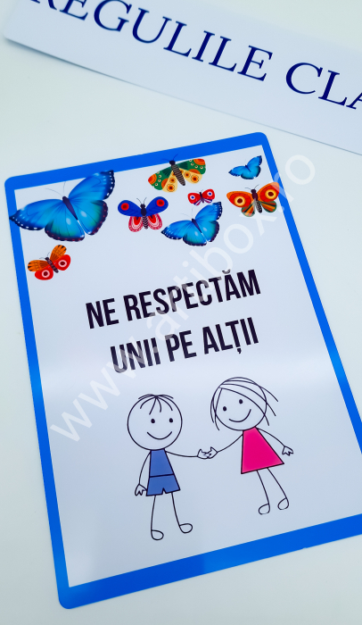 Planse si materiale didactice [14]