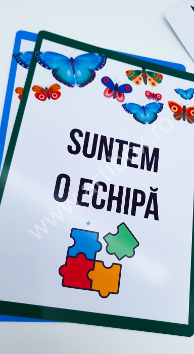 Planse si materiale didactice [15]