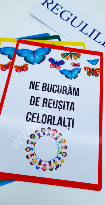 Planse si materiale didactice [12]