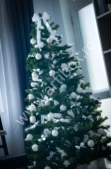 Set 100+1 - Decoratiuni fundite pentru brad, Mix roz si argintiu [4]