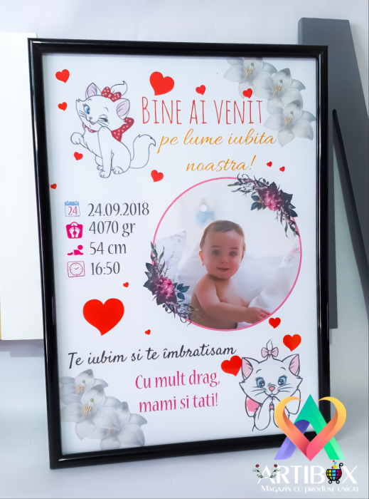 Tablou personalizat - Bine ai venit pe lume! [3]