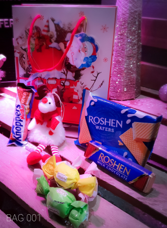 Craciun 2020 - Cadou de Craciun - REN