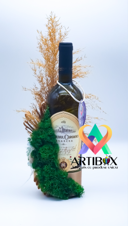 Aranjament pe sticla cu licheni naturali stabilizati [3]