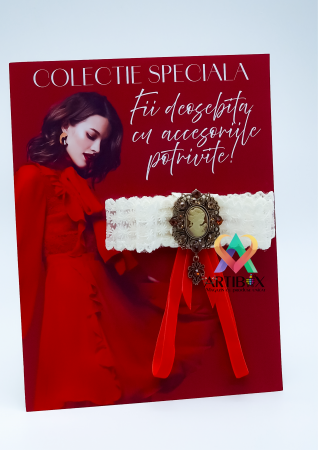 Accesorii dama - Brosa eleganta funda pentru camasi si rochite - Camee cu strasuri