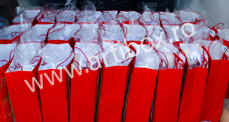 Cadou copii - Figurine mari din ipsos pentru pictura, ursulet de plus, acuarele si mix de dulciuri [2]