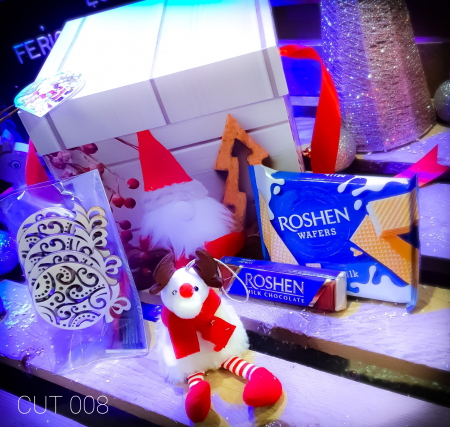 Craciun 2020 - Cadou cutie REN