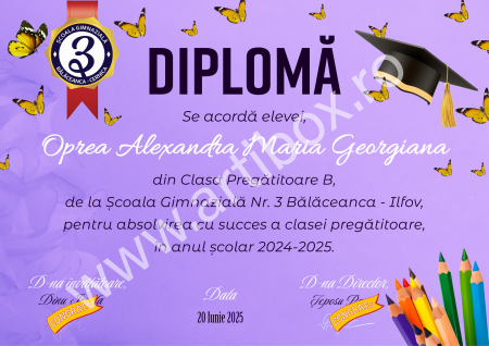 Diploma cu text personalizat, nume si semnatura digitala pentru gradinita/scoala [11]