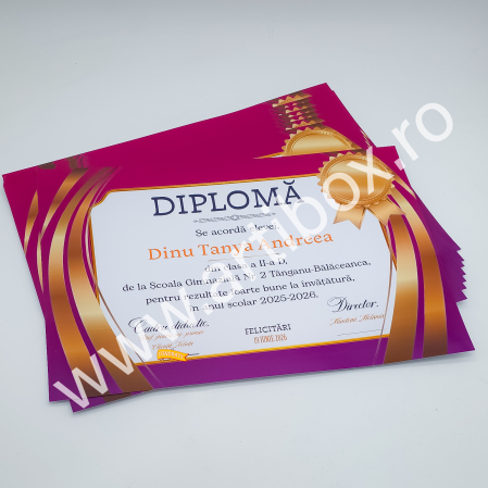 PRODUSE EDUCATIONALE - Diploma scolara personalizabila cu semnatura digitala - Roz