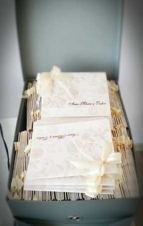 Fundite duo din satin si organza Ivory - Handmade [3]