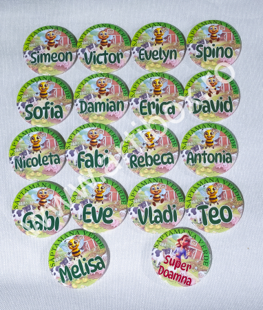 Insigne - Insigna Personalizata Saptamana Verde