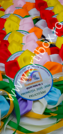 Cocarde personalizate pentru absolvire - Model Multicolor [13]