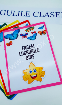 Planse si materiale didactice [10]