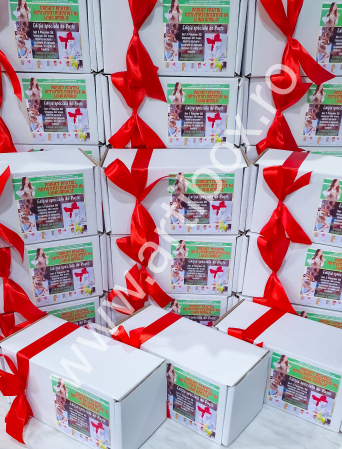 Set 3 Figurine 3D Iepurasi Paste din ipsos pentru pictura - acuarele, pensula incluse [2]