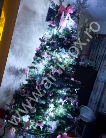 Decoratiuni fundite pentru bradul de Craciun [5]