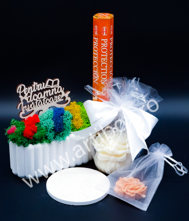 Licheni naturali stabilizati - Cadou set cu aranjament din licheni naturali