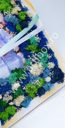 Tablou cu licheni naturali stabilizati, flori criogenate si plante naturale uscate [2]