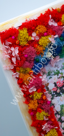 Tablou cu licheni naturali stabilizati, flori criogenate si plante naturale uscate [1]