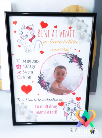 Tablouri personalizate - Tablou personalizat - Bine ai venit pe lume!