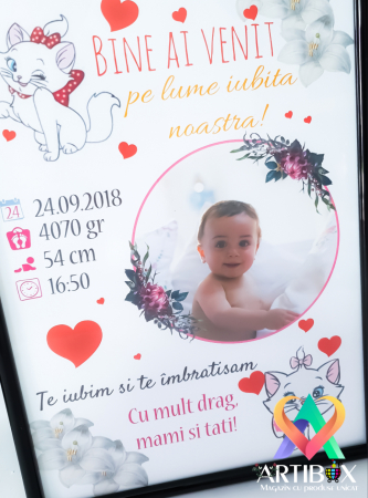 Tablou personalizat - Bine ai venit pe lume! [1]