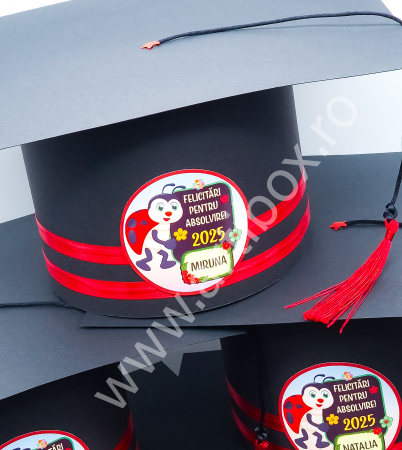 Toci, diplome si cocarde absolvire - Tocă pentru festivitatea de absolvire - Pentru gradinita/școala