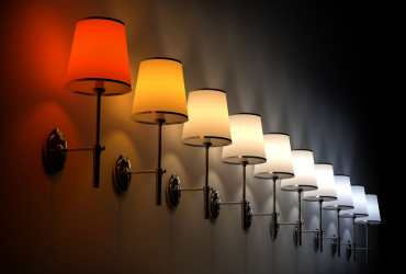 Galerie imagini Galerie imagini