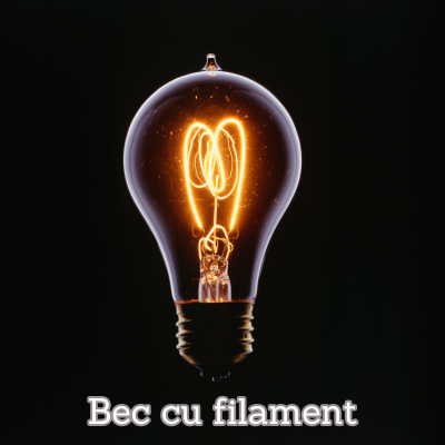 Galerie imagini Galerie imagini