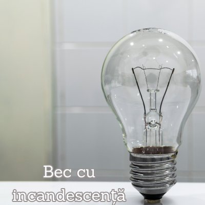 Galerie imagini Galerie imagini