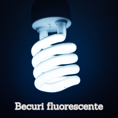 Galerie imagini Galerie imagini