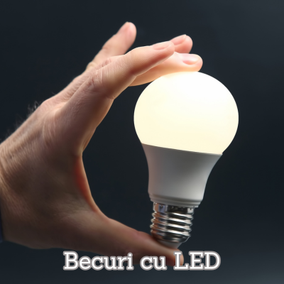 Galerie imagini Galerie imagini