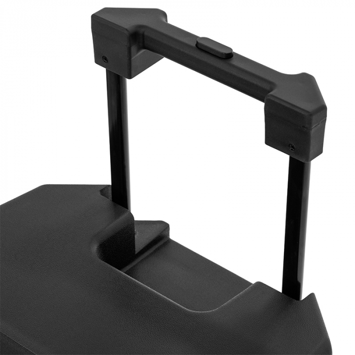 BOXA PORTABILA 12''/31CM 250W RMS TWS CU BT/USB + 2 MIC WIRELESS [14]