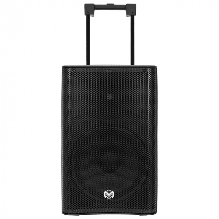 BOXA PORTABILA 12''/31CM 250W RMS TWS CU BT/USB + 2 MIC WIRELESS [8]