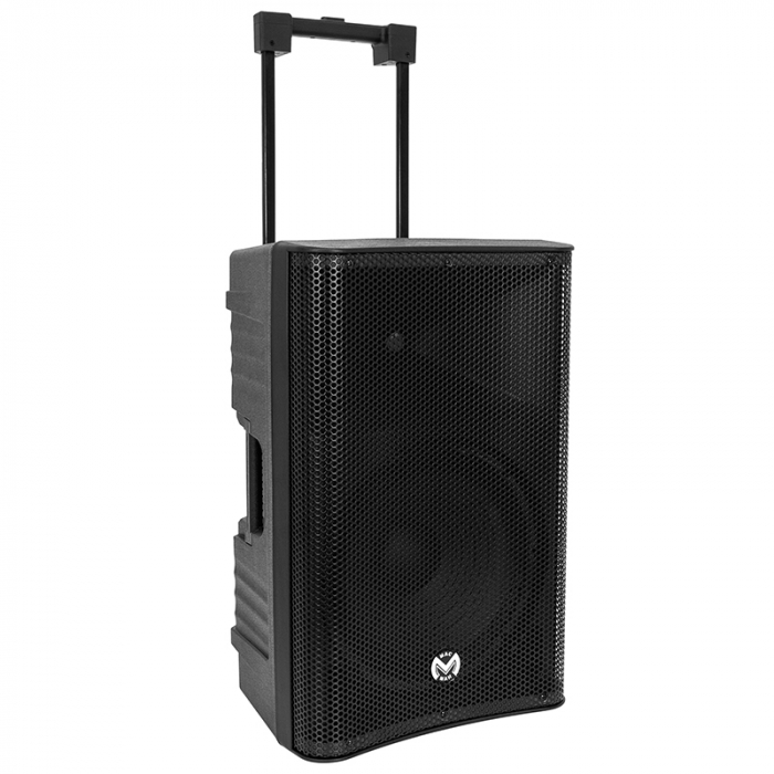 BOXA PORTABILA 12''/31CM 250W RMS TWS CU BT/USB + 2 MIC WIRELESS [2]
