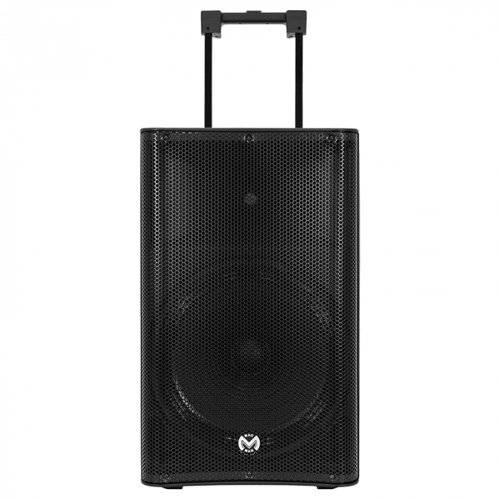 BOXA PORTABILA 15''/38CM 300W RMS TWS CU BT/USB + 2 MIC WIRELESS [5]