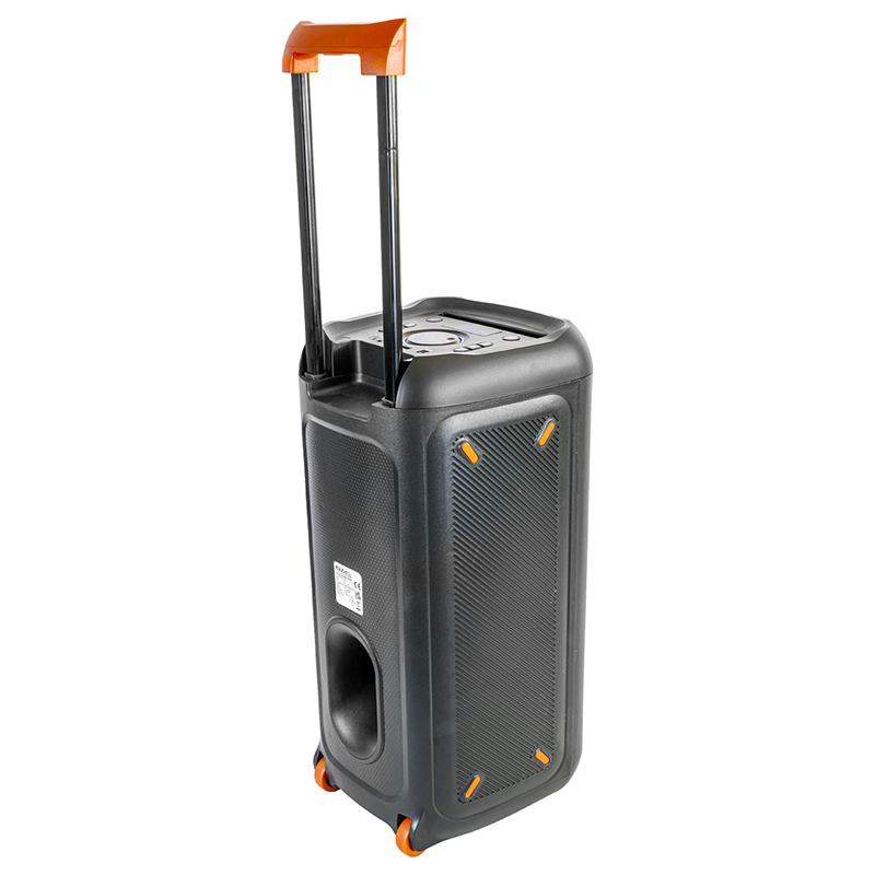 BOXA PORTABILA 2X8"/20CM 200W RMS [4]