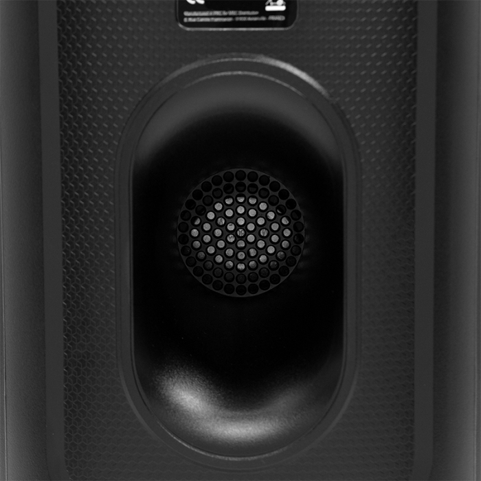 BOXA PORTABILA 2X8''/20CM CU BT/USB/SD [6]