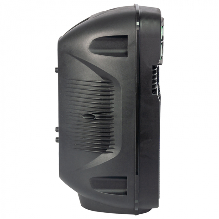 BOXA PORTABILA 8"/20CM CU USB/SD/BT/FM [4]