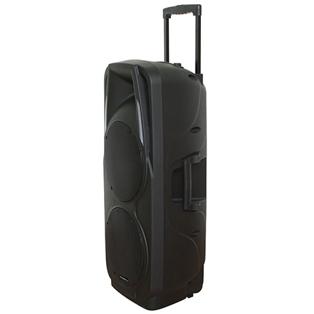 BOXA PORTABILA ACTIVA 2X10"/25CM 300W RMS USB/SD/BT/VHF [1]