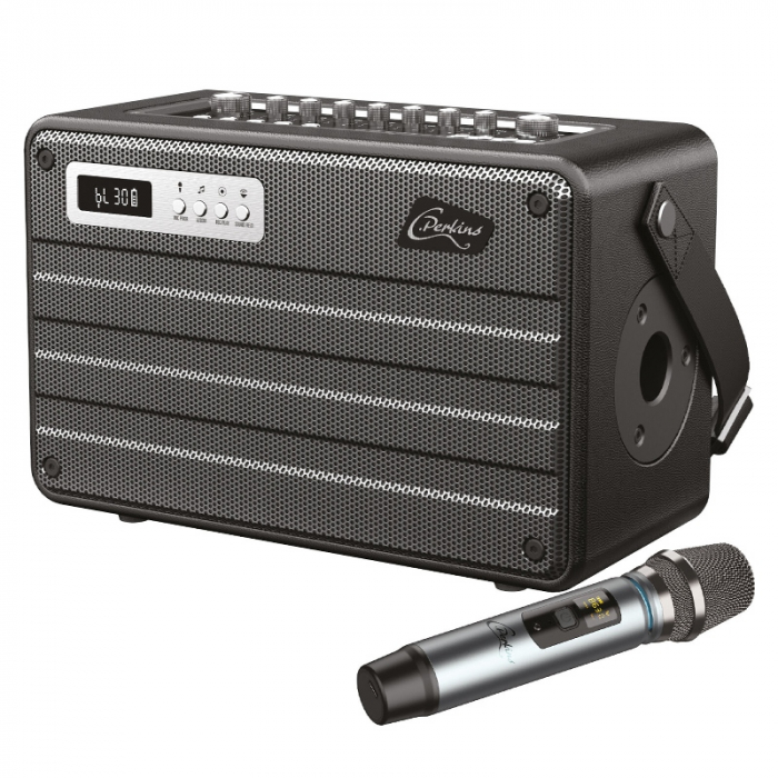BOXA PORTABILA ALL IN ONE 100W UHF BT/USB/MSD/AUX [2]