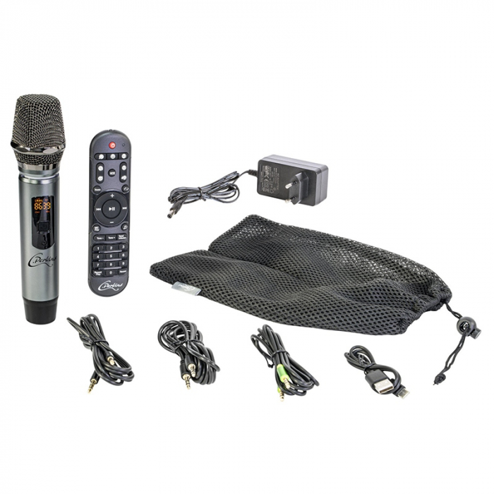 BOXA PORTABILA ALL IN ONE 100W UHF BT/USB/MSD/AUX [9]