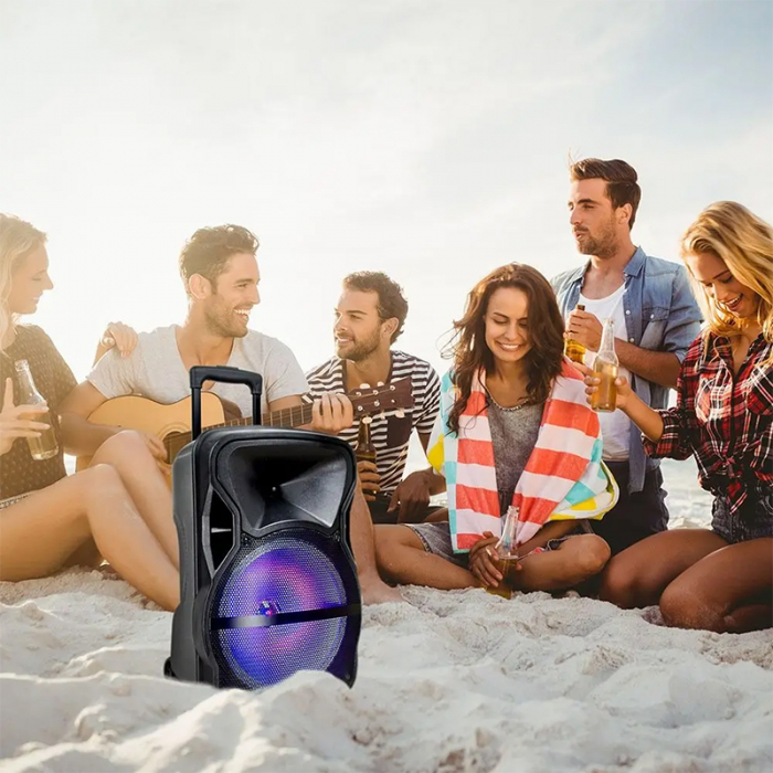 BOXA PORTABILA ILUMINATA LED 12"/30CM 35W RMS CU USB/SD/BT/FM [10]