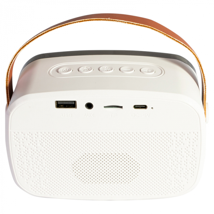 BOXA PORTABILA KARAOKE CU 2 MICROFOANE FUNCTIE BT/USB/TWS [3]