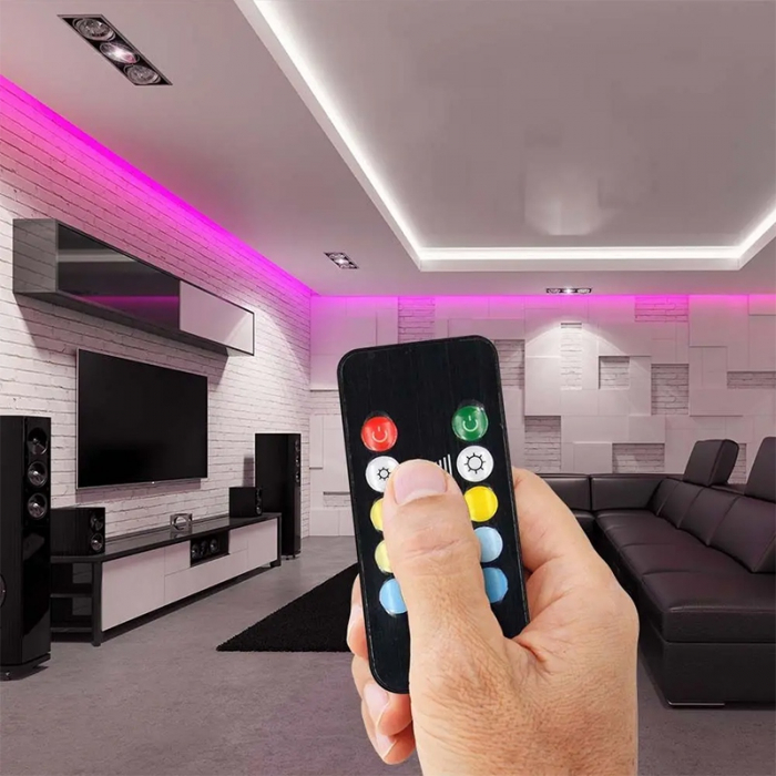 CONTROLLER BANDA LED 3IN1 WI-FI 12 BUTOANE [11]