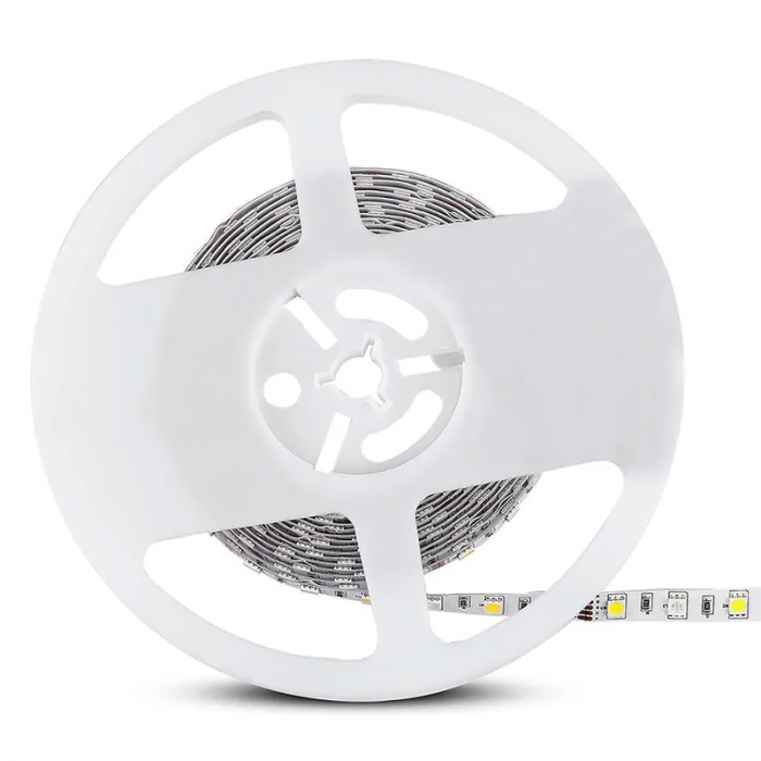 KIT BANDA LED SMD5050 RGB+W 6000K 60LED/M IP20 5M [3]