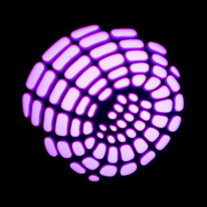 Moving head gobo 30w rgb + inele iluminate [11]