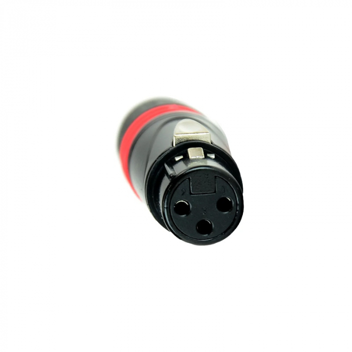 MUFA MAMA XLR [2]