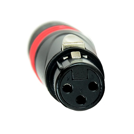 MUFA MAMA XLR [1]